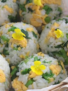 菜の花と炒り卵の春おにぎり-レシピのメイン写真