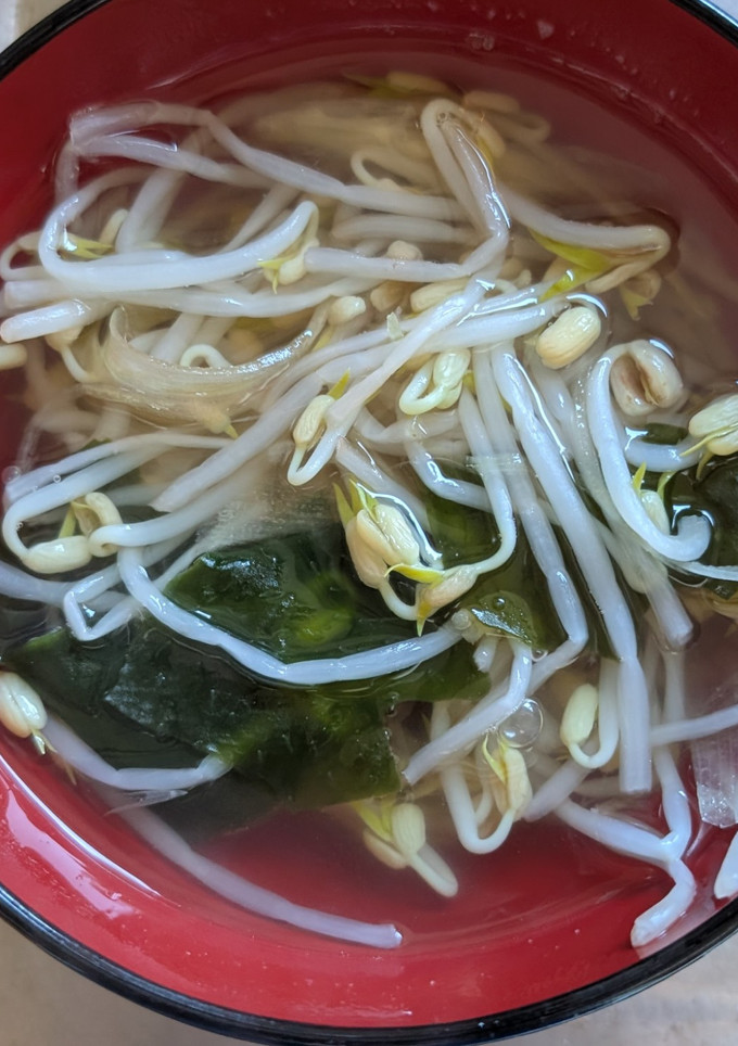 簡単★もやしとみょうがとわかめのスープ-レシピのメイン写真