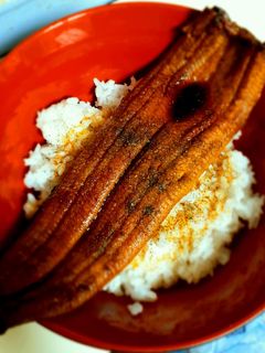 ふっくら美味しく出来る鰻丼-レシピのメイン写真