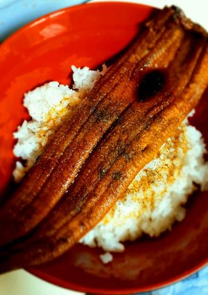 ふっくら美味しく出来る鰻丼-レシピのメイン写真