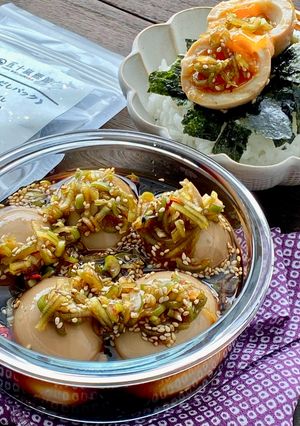 だしパックで和風麻薬卵-レシピのメイン写真