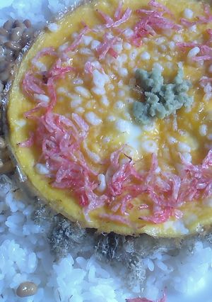 備蓄米でカフェ丼92アミエビ載せオムレツ-レシピのメイン写真