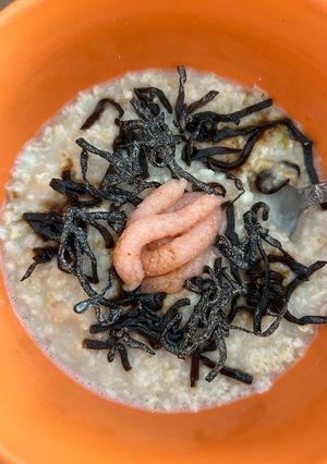 オートミールで明太子塩昆布茶漬け-レシピのメイン写真
