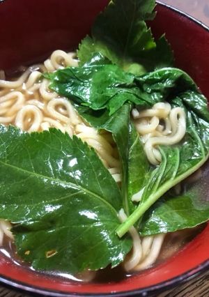 明日葉と大葉の即席ラーメン-レシピのメイン写真