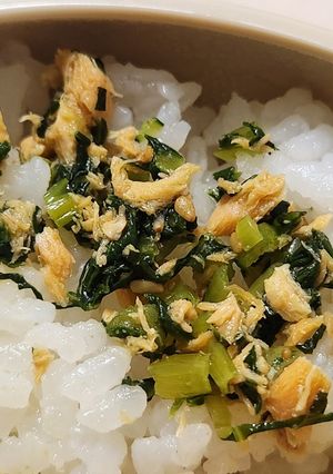 小松菜と鮭のフレーク-レシピのメイン写真