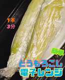 簡単❣️皮付きとうもろこし🌽レンジでゆでる