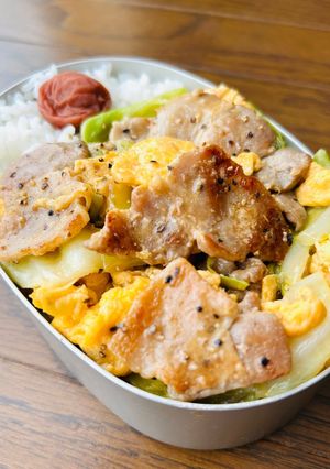 【簡単】うま塩豚キャベツ弁当-レシピのメイン写真
