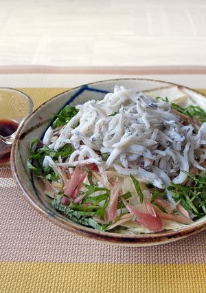 家族が喜ぶ♪簡単しらす丼-レシピのメイン写真