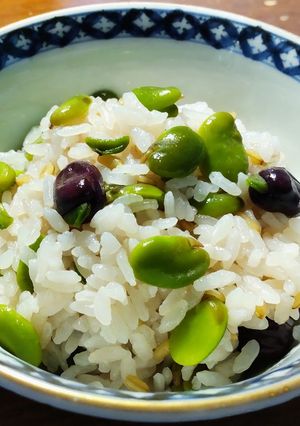 赤空豆ご飯　発芽燕麦入り-レシピのメイン写真