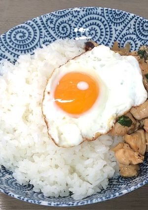 ガパオライス-レシピのメイン写真