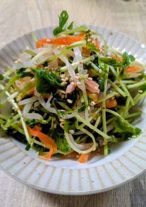 豆苗ともやしの中華サラダ-レシピのメイン写真
