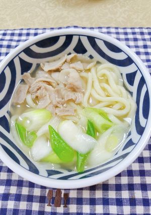 ⭐️サッパリ豚肉・葱入り塩うどん♬-レシピのメイン写真