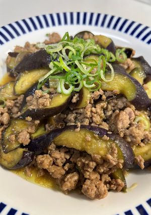 お茄子とひき肉のスパイシー炒め-レシピのメイン写真