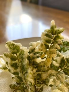 山椒の天ぷら 食べたことがない人は是非!-レシピのメイン写真