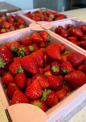 いちごの保存方法-レシピのメイン写真