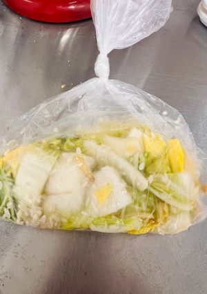 発酵鍋用白菜-レシピのメイン写真
