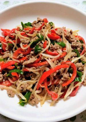 今夜の夕飯ピーマンもやし挽肉野菜炒め主菜-レシピのメイン写真