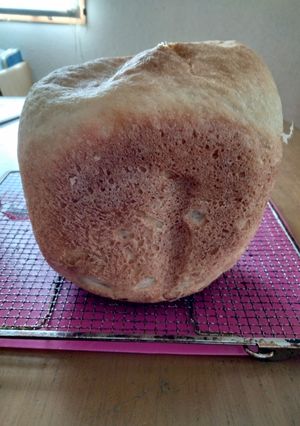 misuzuのおからパウダー入り食パン🍞-レシピのメイン写真