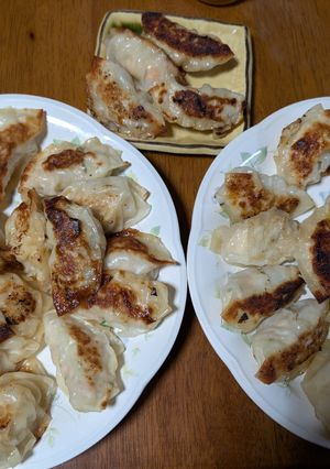 ヘルシー餃子-レシピのメイン写真