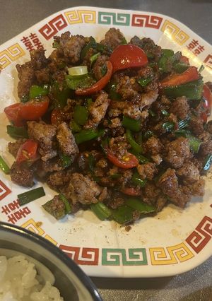 挽肉と余り野菜でかんたん酢オイスター炒め-レシピのメイン写真