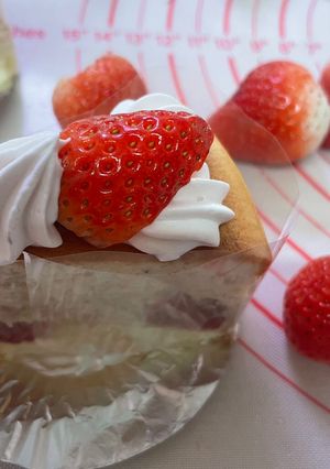 苺のチーズケーキ-レシピのメイン写真