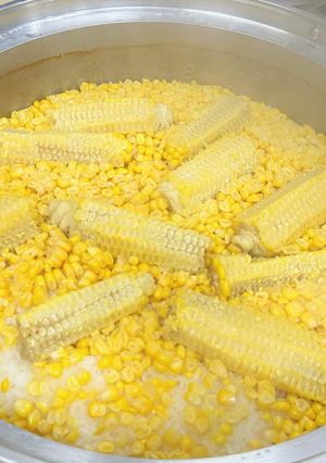 【JAいしのまき女性部】とうもろこしご飯-レシピのメイン写真