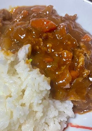 豚肉のハヤシライス-レシピのメイン写真