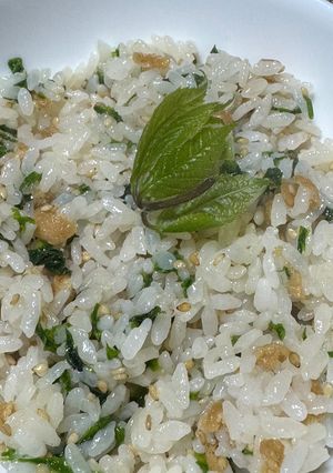 [季節物]コシアブラの混ぜご飯-レシピのメイン写真