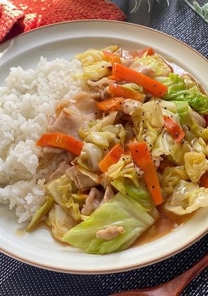 豚野菜のあんかけごはん-レシピのメイン写真