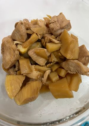 たけのこと鶏肉煮込み-レシピのメイン写真