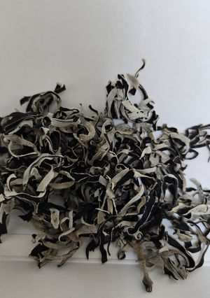 手作り　乾燥キクラゲ-レシピのメイン写真