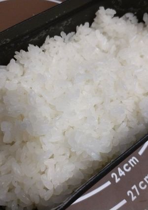 エコソーラークッカーで米を炊く-レシピのメイン写真