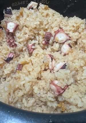 炊飯器　たこ飯-レシピのメイン写真