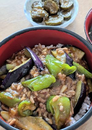 麻婆ナス丼-レシピのメイン写真