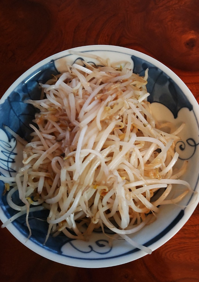 塩麹で旨味倍増！もやしの中華炒め-レシピのメイン写真