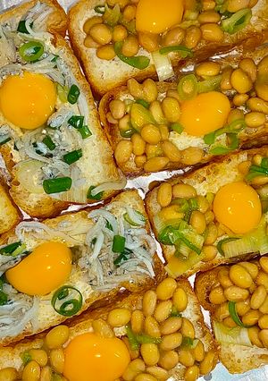 栃尾揚げ納豆しらすうずらグリル焼き-レシピのメイン写真