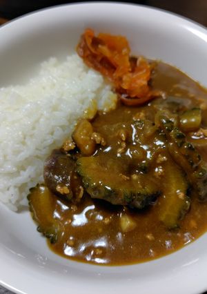 ゴーヤとなすのひき肉カレー-レシピのメイン写真