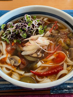 秋茄子とトマトのうどん-レシピのメイン写真