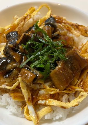 穴子の蒲焼き丼-レシピのメイン写真