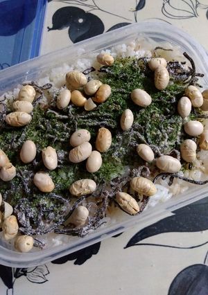 余った節分豆のご飯-レシピのメイン写真