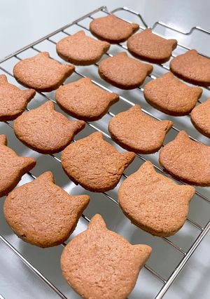 米粉で作る☆型抜きクッキー☆ココア味-レシピのメイン写真