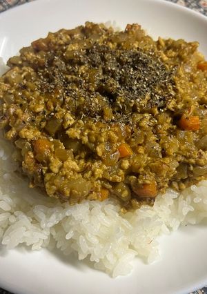 凍豆腐のキーマカレーもどき-レシピのメイン写真