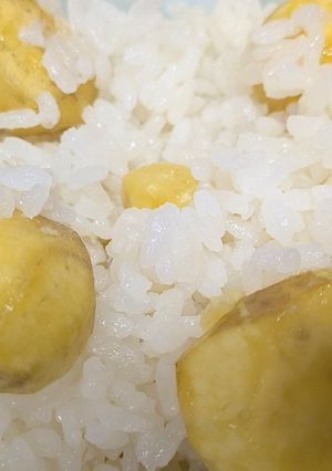 塩だけで栗ごはん-レシピのメイン写真