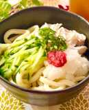 鶏ささみ梅おろしの☆冷やしぶっかけうどん