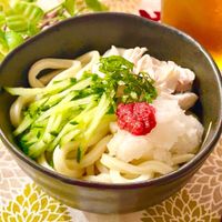 基本からアレンジまで！思わずつくりたくなる「ひやし うどん」の