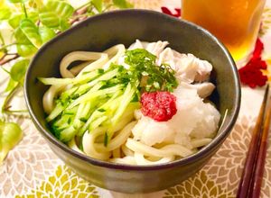 鶏ささみ梅おろしの☆冷やしぶっかけうどん-レシピのメイン写真