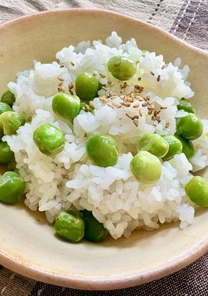 おサボり♡豆ごはん-レシピのメイン写真