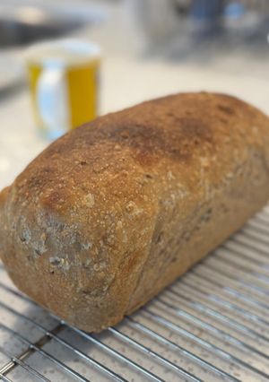 Sourdough Loaves-レシピのメイン写真