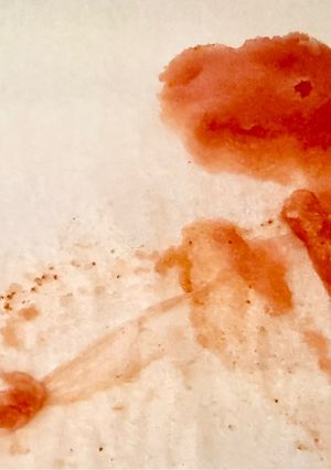 明太子の出し方-レシピのメイン写真