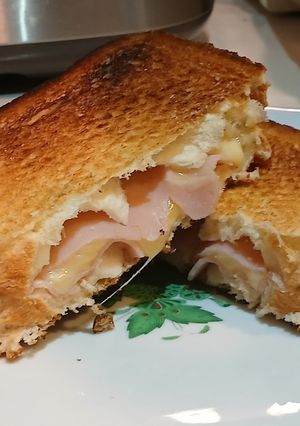 メーカーなし　トースターでホットサンド-レシピのメイン写真